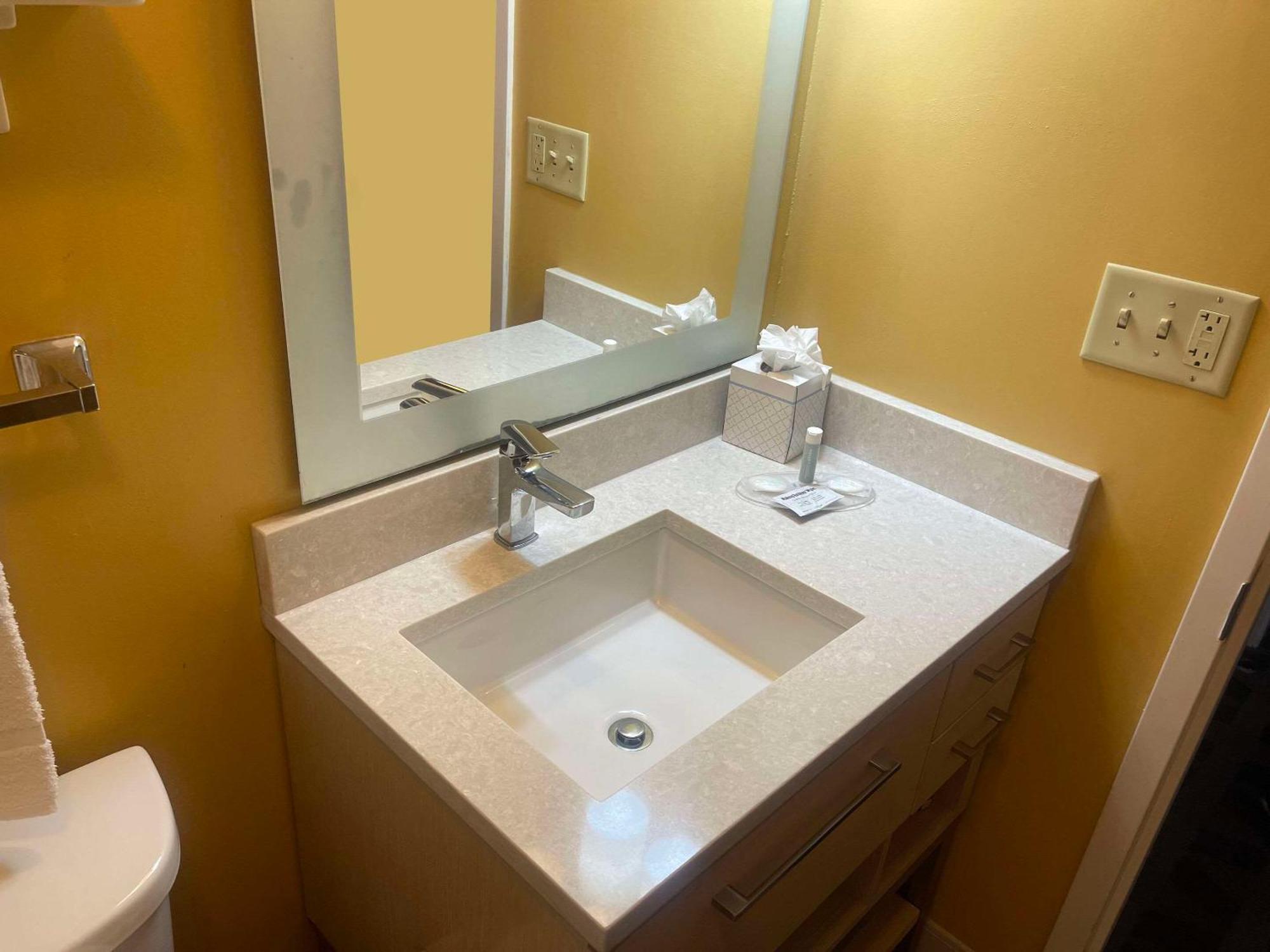 Mainstay Suites Tampa Moffitt-Usf Temple Terrace Eksteriør bilde