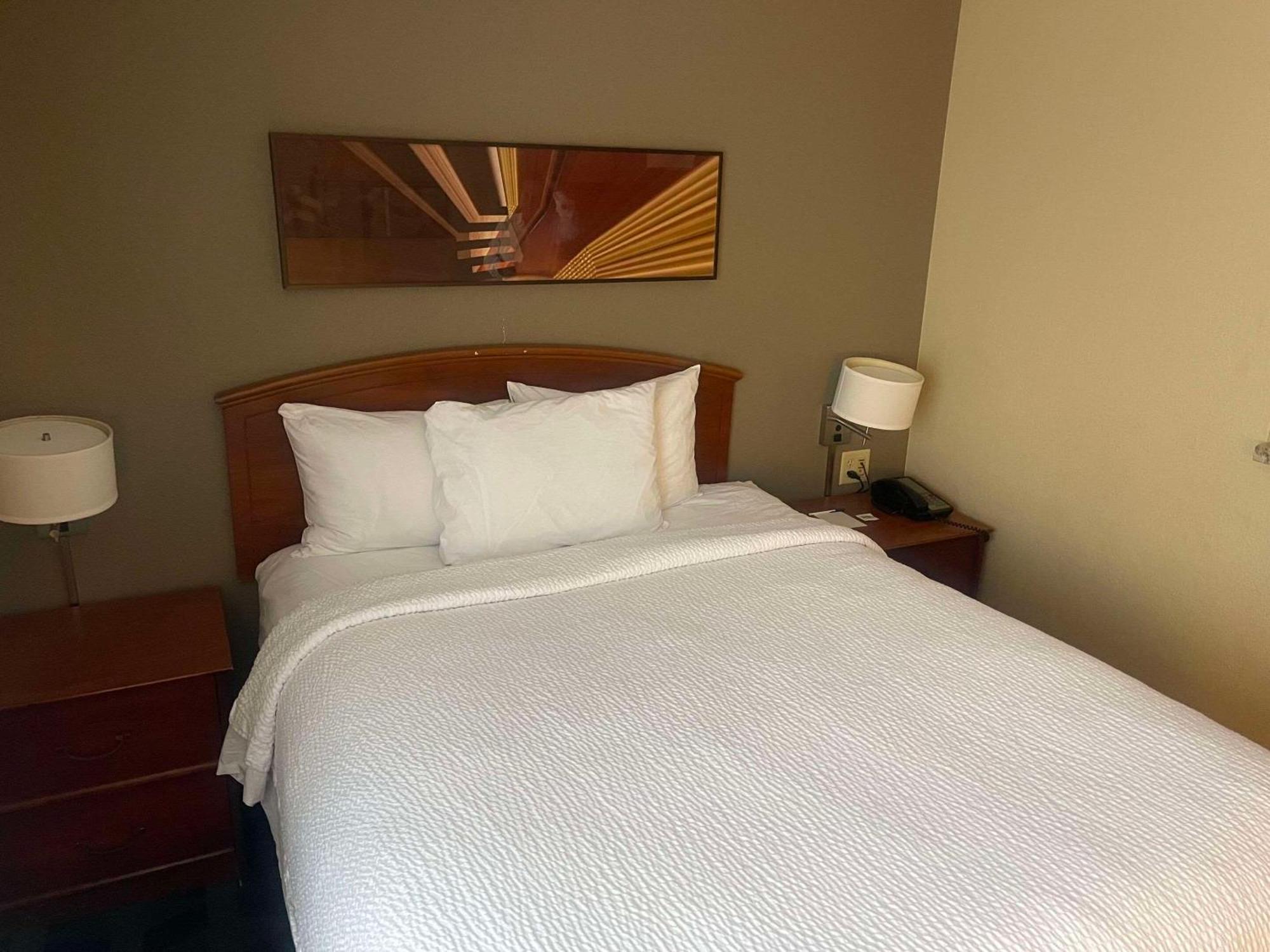 Mainstay Suites Tampa Moffitt-Usf Temple Terrace Eksteriør bilde