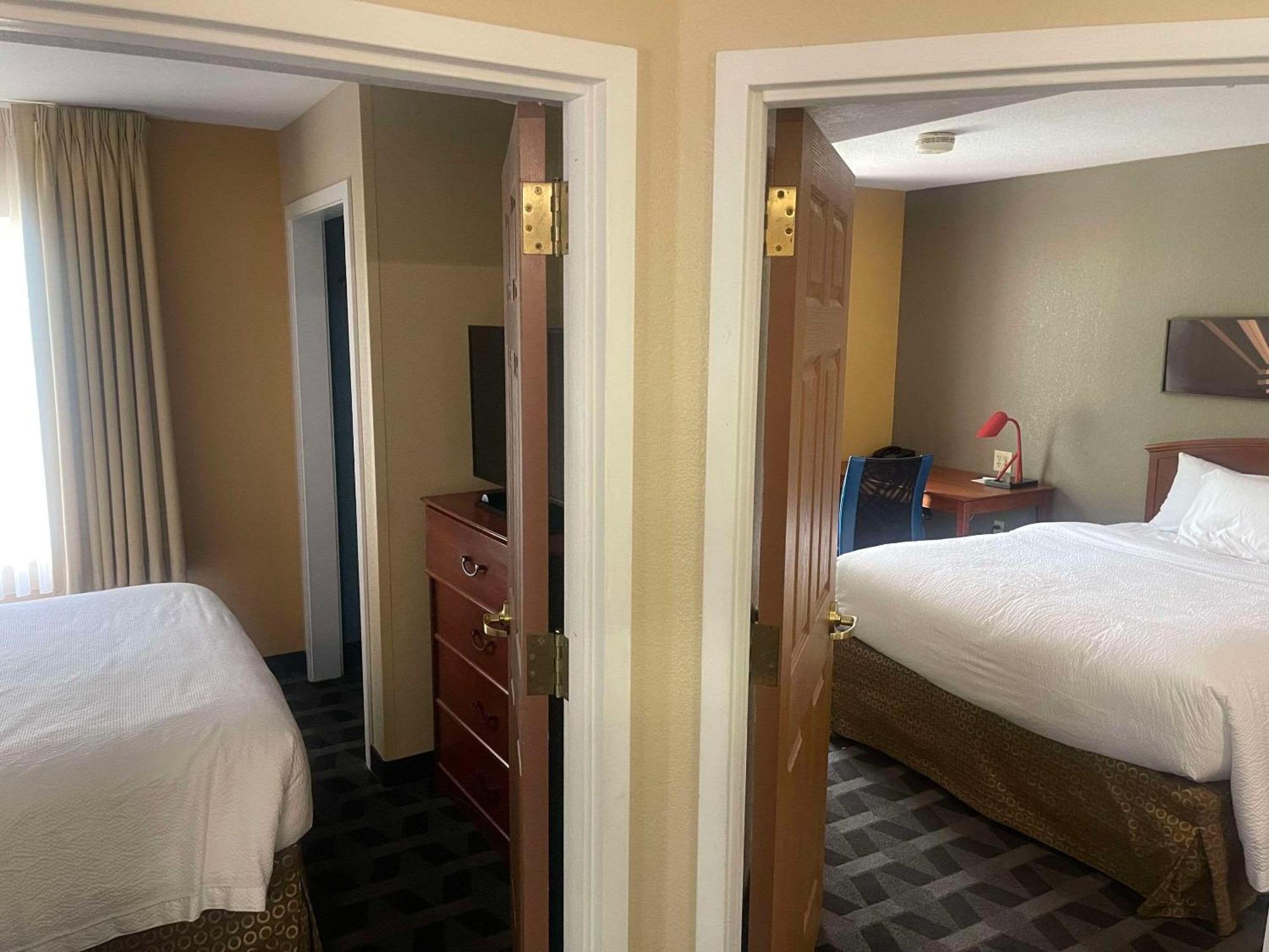 Mainstay Suites Tampa Moffitt-Usf Temple Terrace Eksteriør bilde