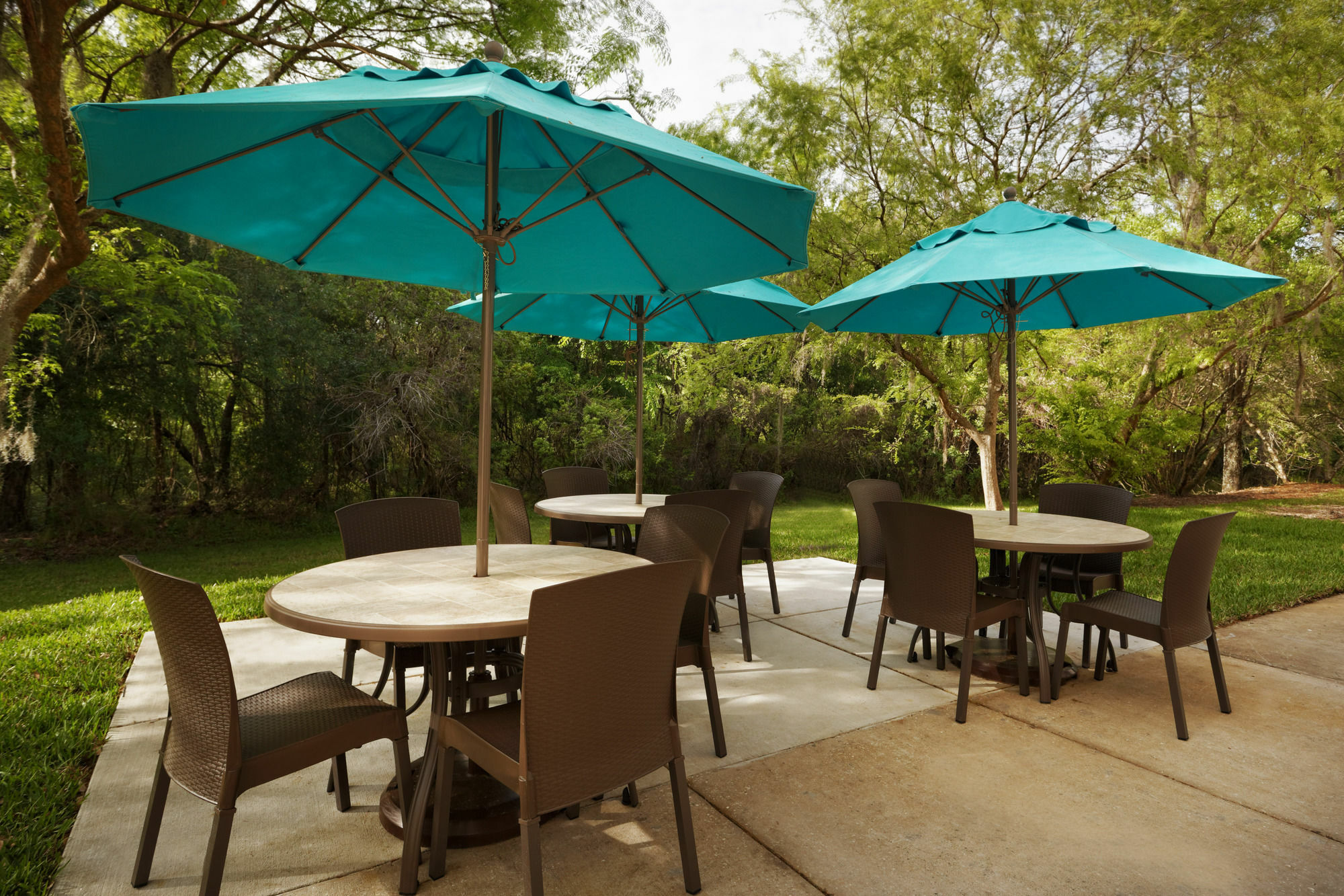 Mainstay Suites Tampa Moffitt-Usf Temple Terrace Eksteriør bilde